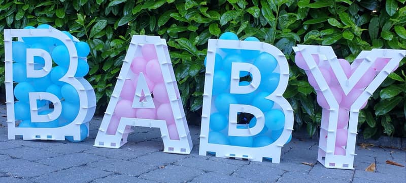 Baby Party · Baby Shower 5