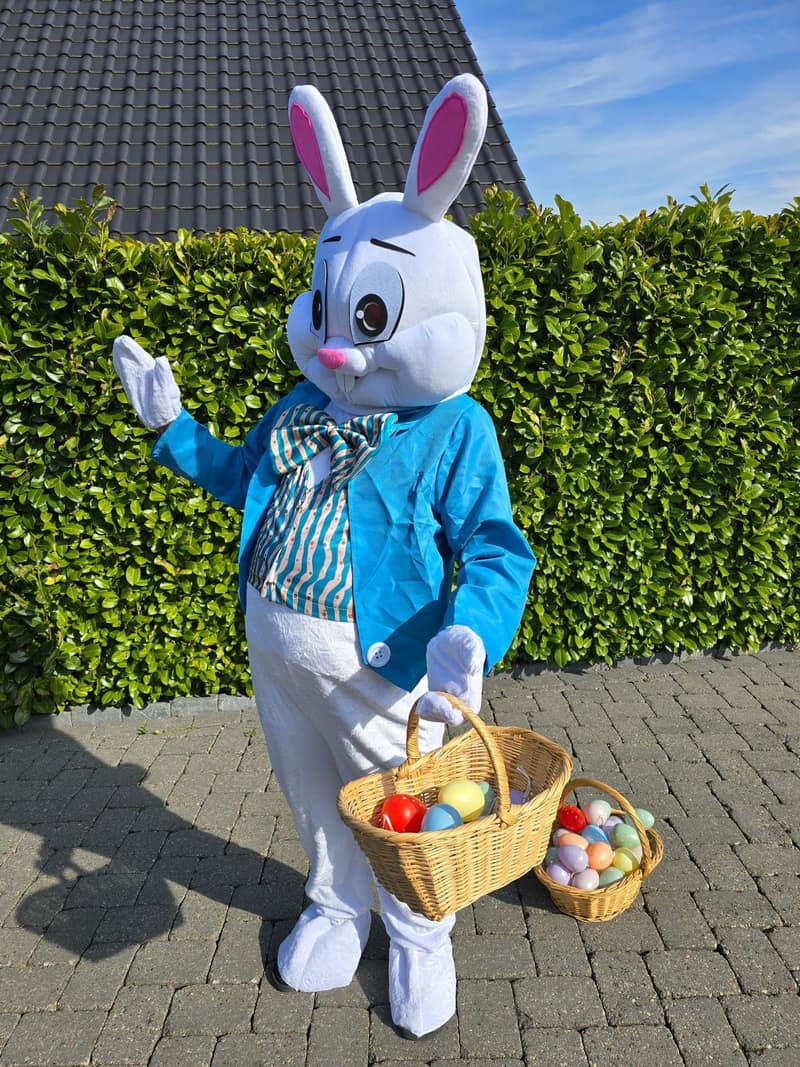 Osterhasen-Kostüme 3