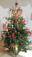 Advent & Weihnachtsdekorationen 11