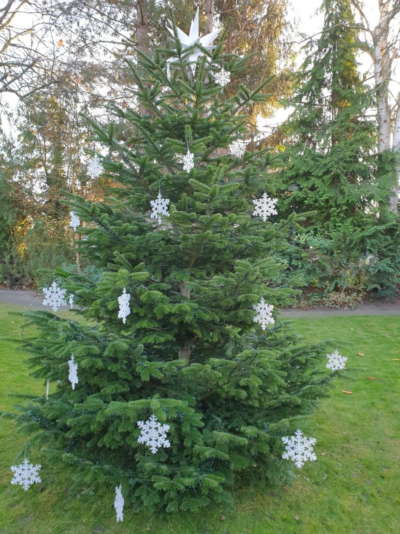 Advent & Weihnachtsdekorationen 33