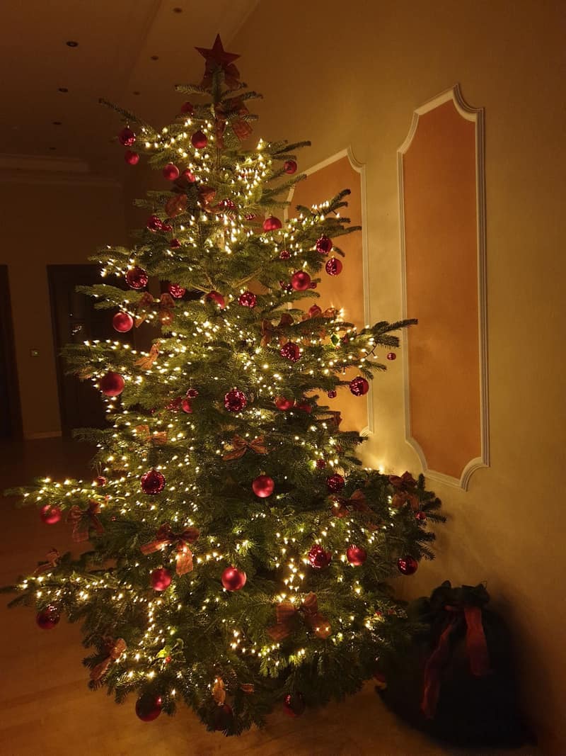 Advent & Weihnachtsdekorationen 40