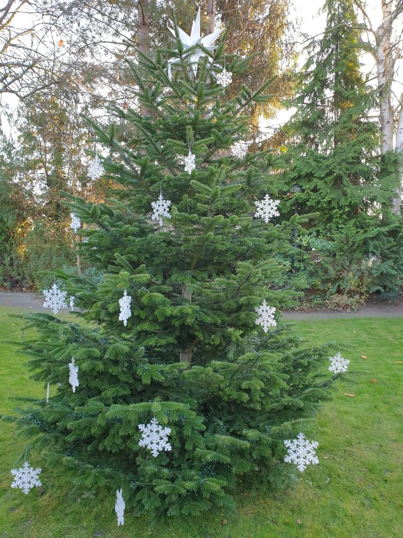 Advent & Weihnachtsdekorationen 51